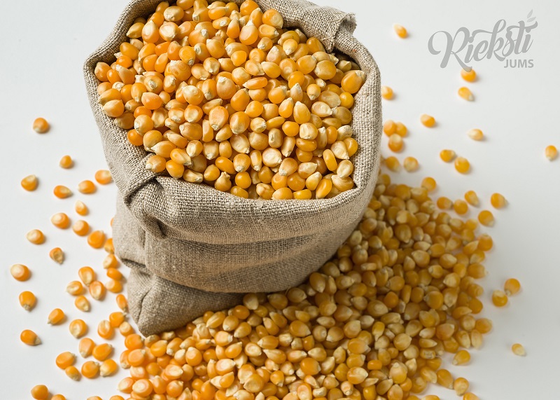 Семена кукурузы для попкорна, 1 кг - Rieksti Jums